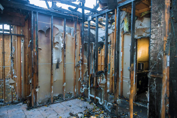 Professional Fire Damage Removal technician working in Lakeland, FL