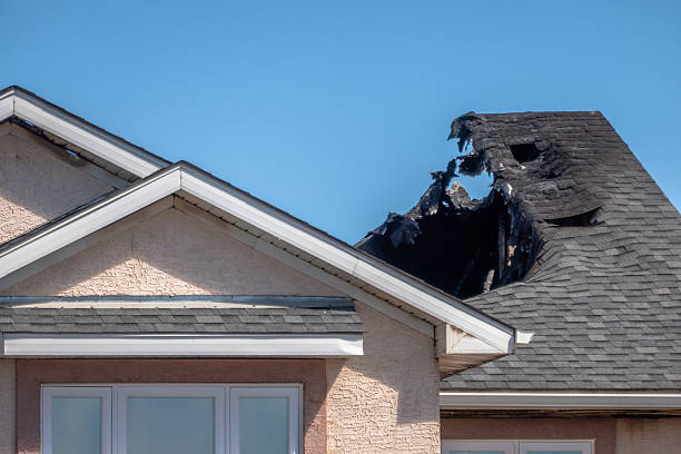 Top rated local Fire Damage Removal specialists in Lakeland, FL
